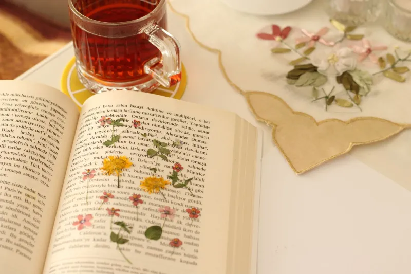 Between the Pages: The Forgotten Objects That Turn Our Books Into Private Diaries