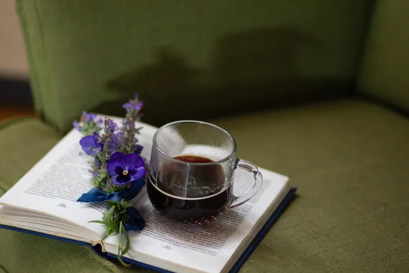 The Confession We Never Make: On Lying About the Books We Have Not Finished