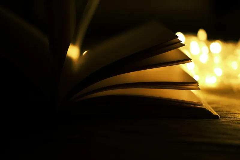 The Imperfect Archive: What Our Faulty Memory of Books Reveals About How We Truly Read