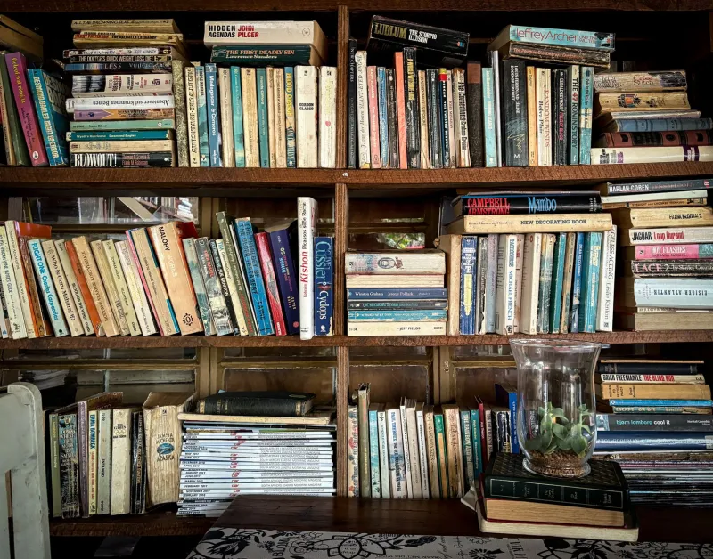 The Library You'll Never Finish: On the Compulsive Pleasure of Owning Books You May Never Read