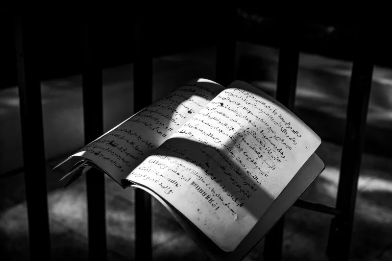 The Novel That Would Not Let You Go: On the Books That Enrage Us and Why They Endure