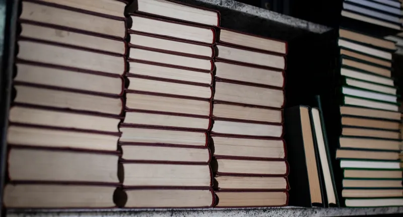 The Book That Never Came Back: On Trust, Loss, and the Literature We Loan