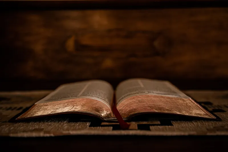 The Interrupted Page: What Returning to an Abandoned Book Reveals About Who You've Become