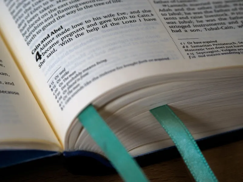 The Novel You Left Behind: What an Unfinished Book Reveals About the Reader You Are Today
