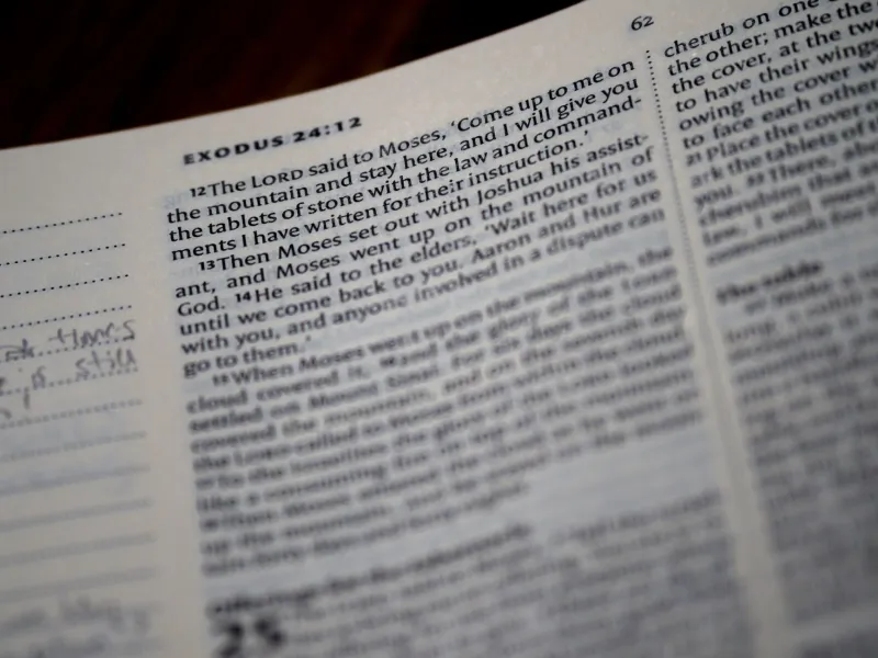 The Well-Worn Copy: Why a Marked-Up Book Is the Most Honest One You Own